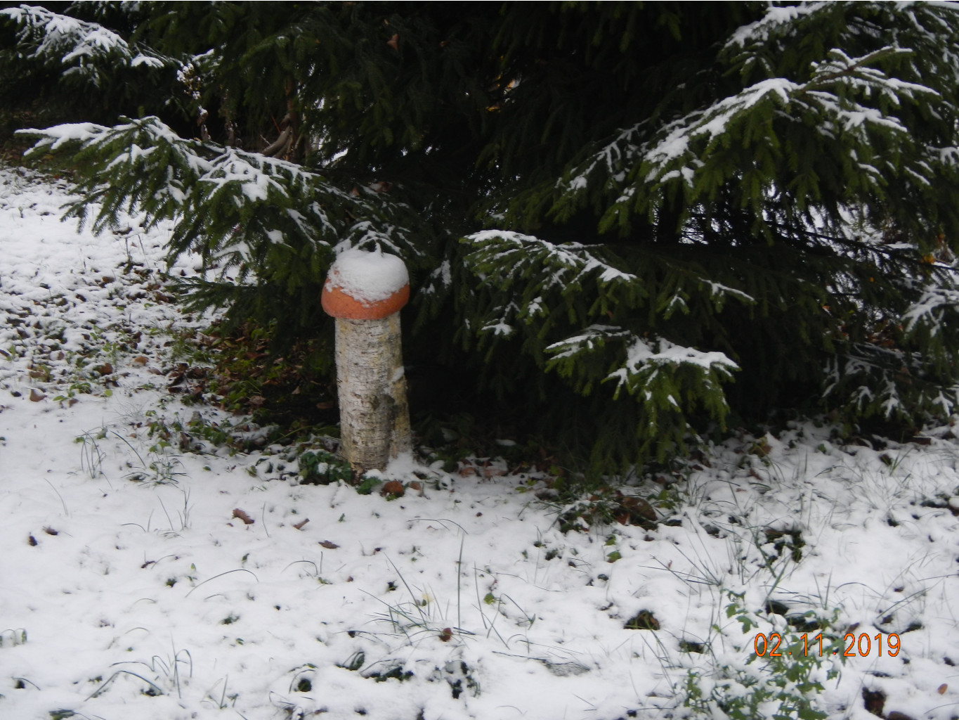 DSCN3057.JPG