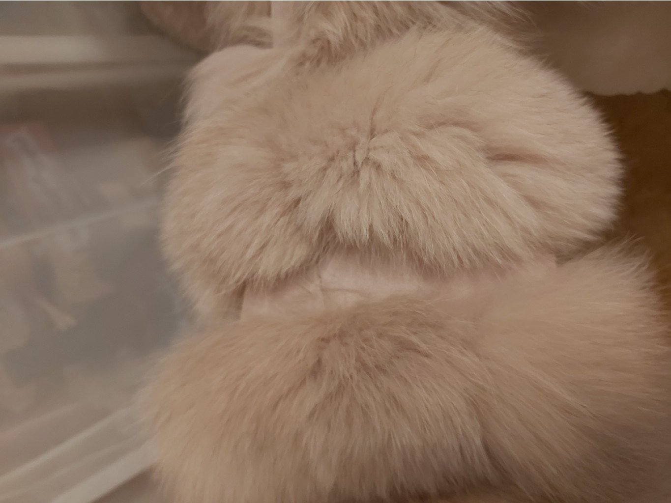 20191118 210007[1].jpg