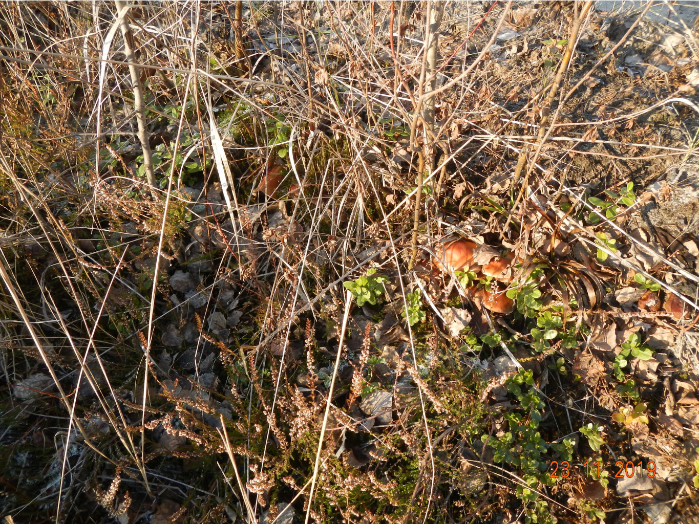 DSCN3414.JPG