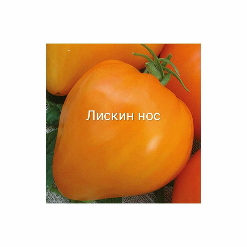IMG 20191125 093415.jpg