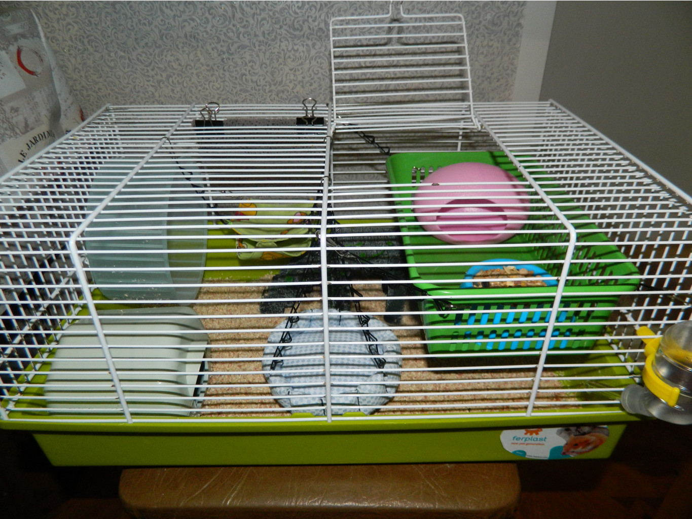 DSCN2202.JPG