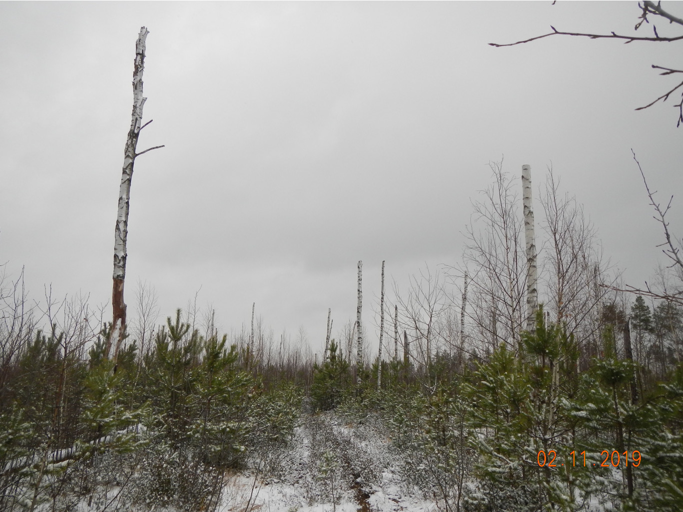 DSCN3090.JPG