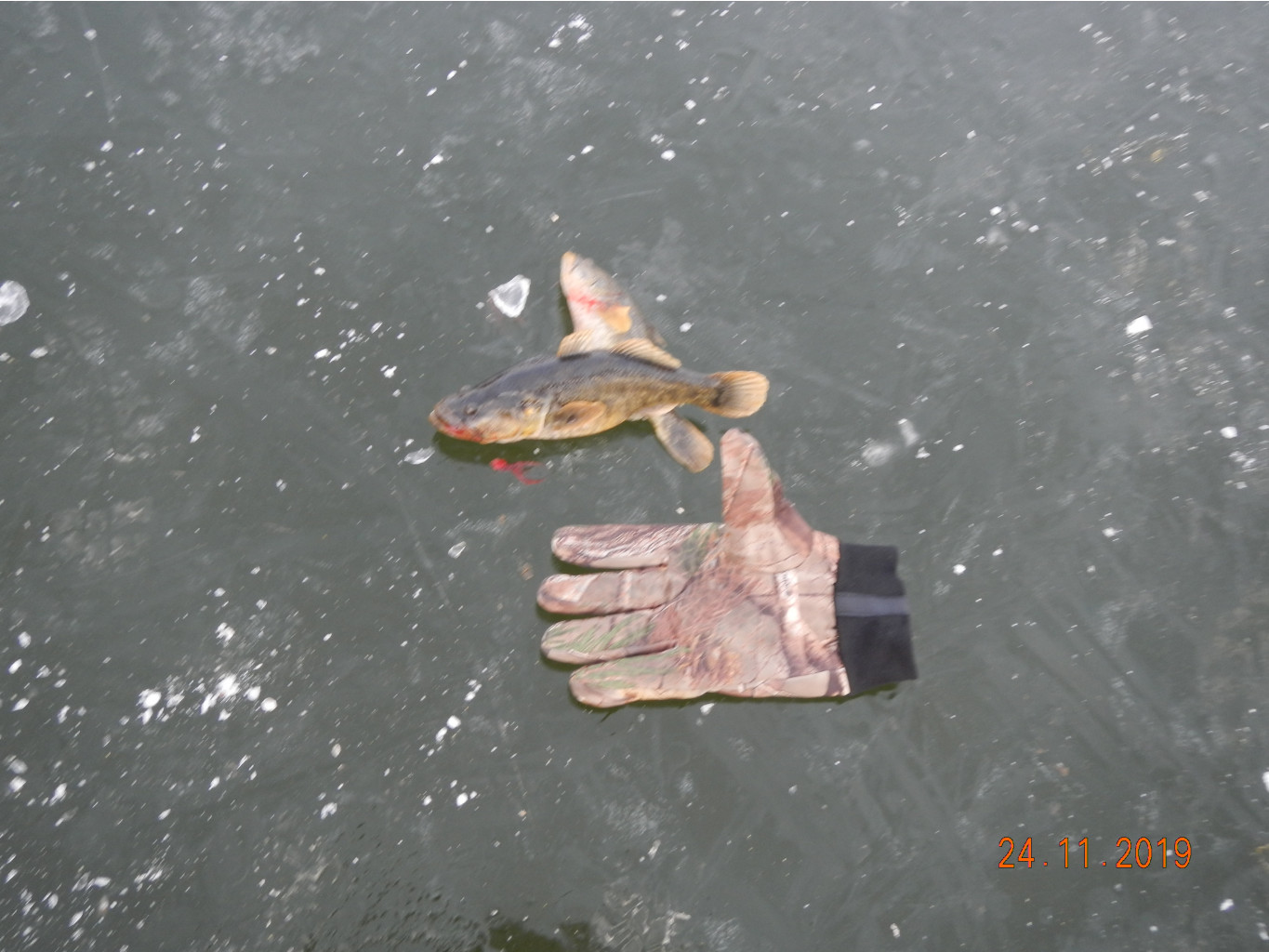 DSCN3439.JPG