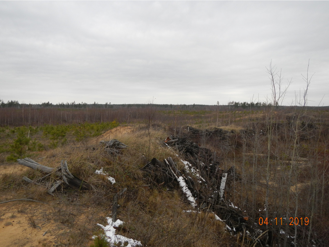 DSCN3181.JPG
