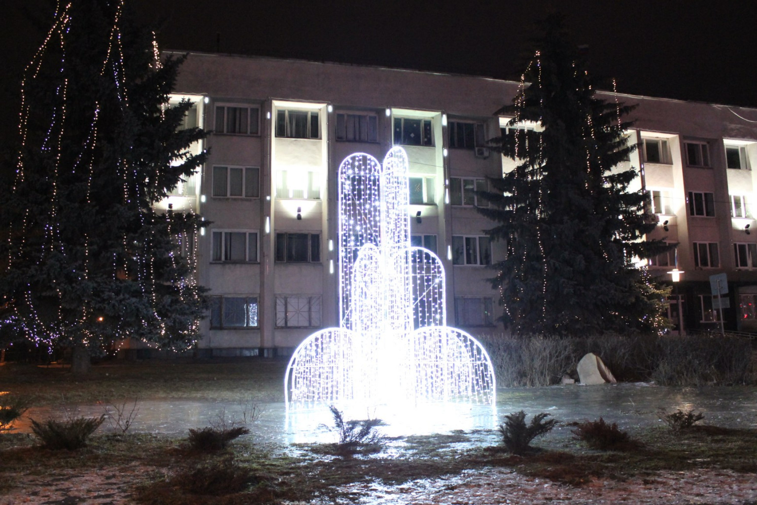 IMG 3415.JPG
