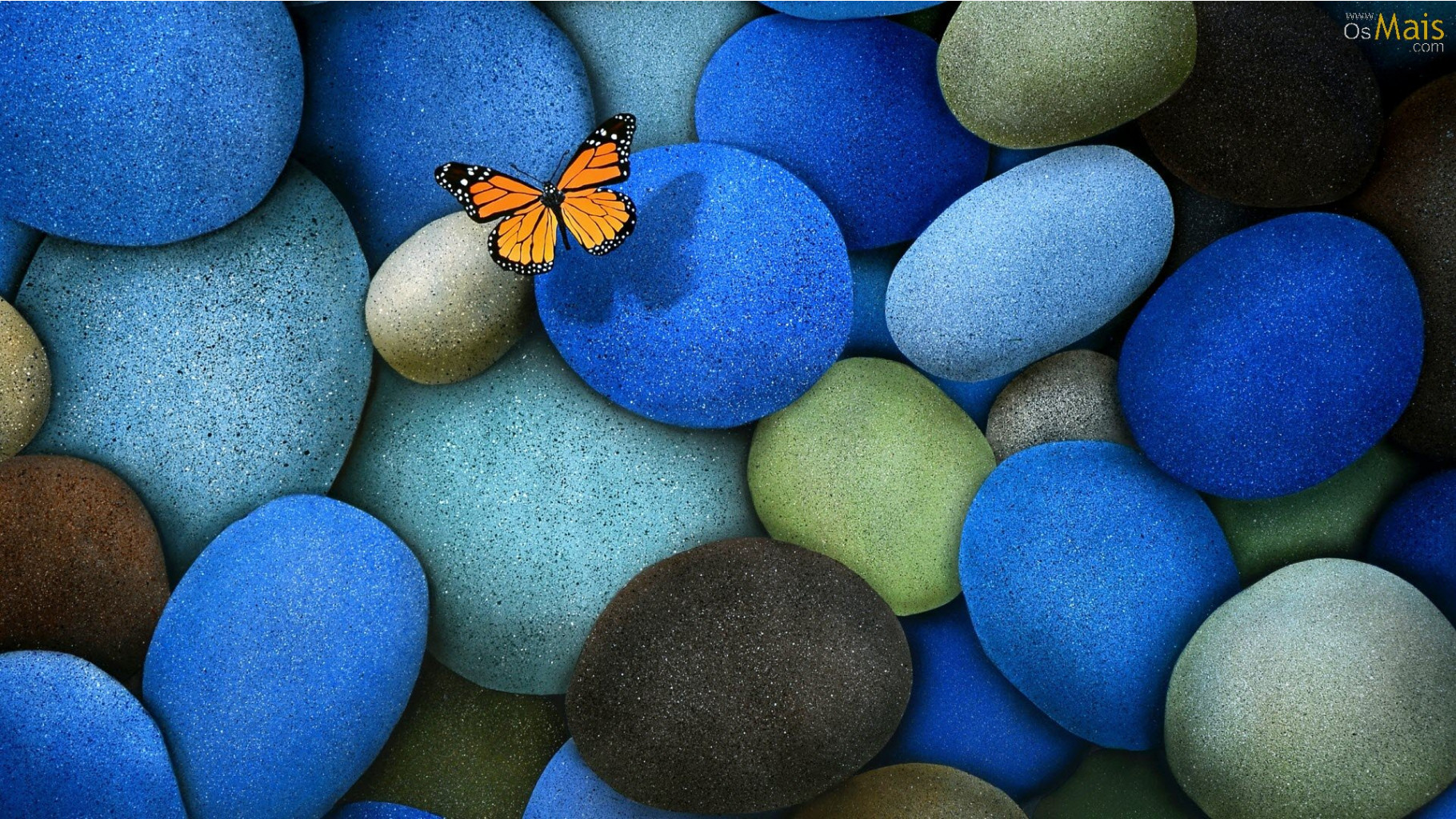 Borboleta-laranja-wallpaper.jpg
