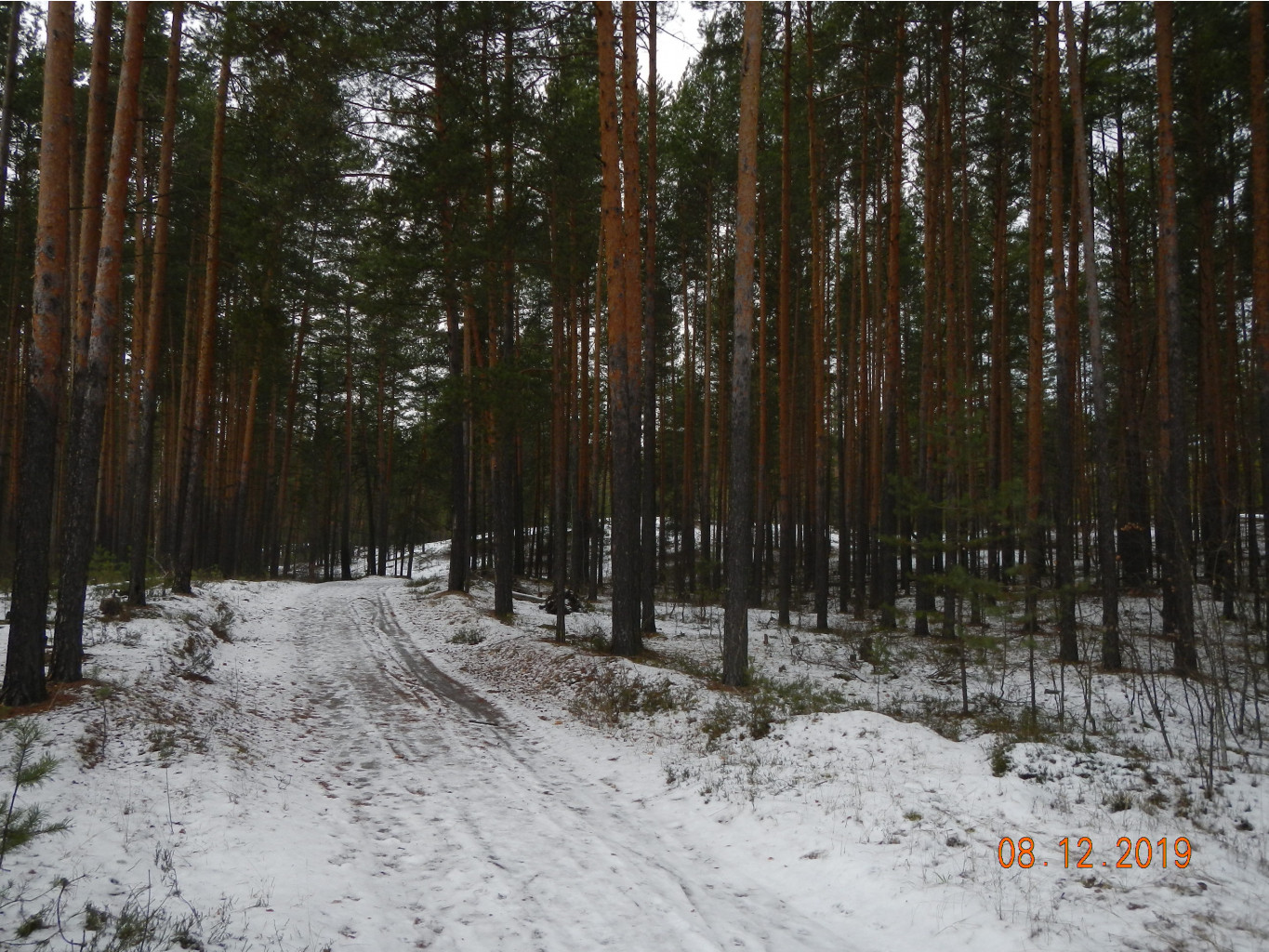 DSCN3466.JPG