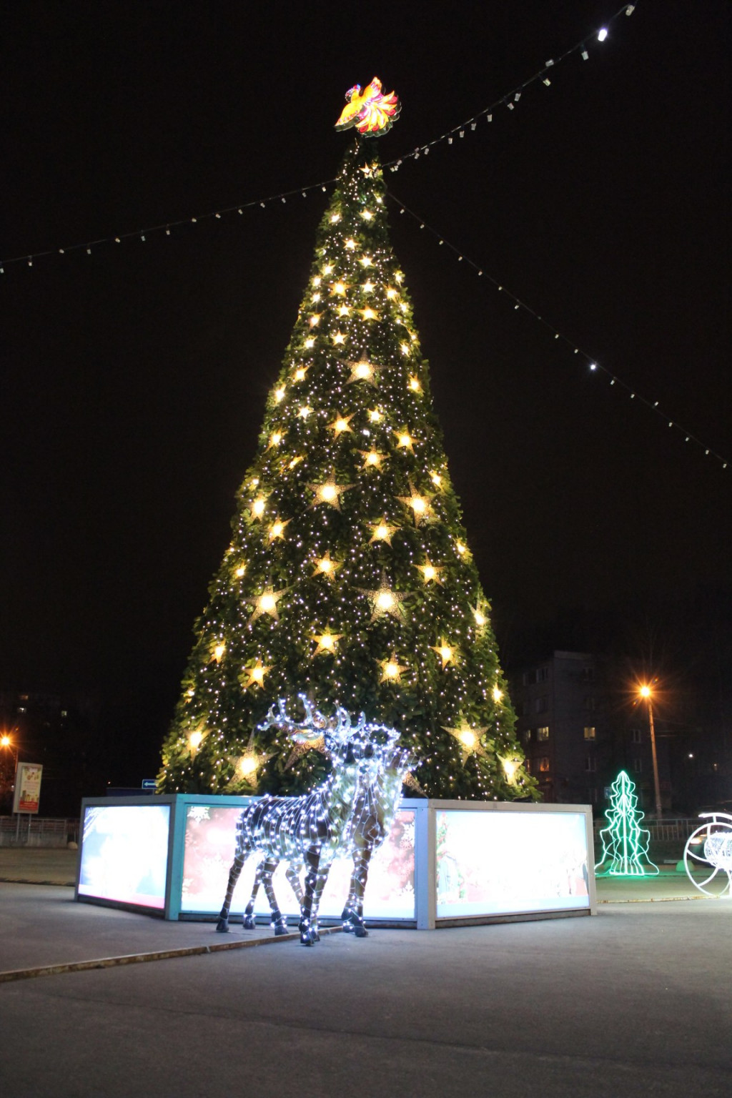 IMG 3408.JPG