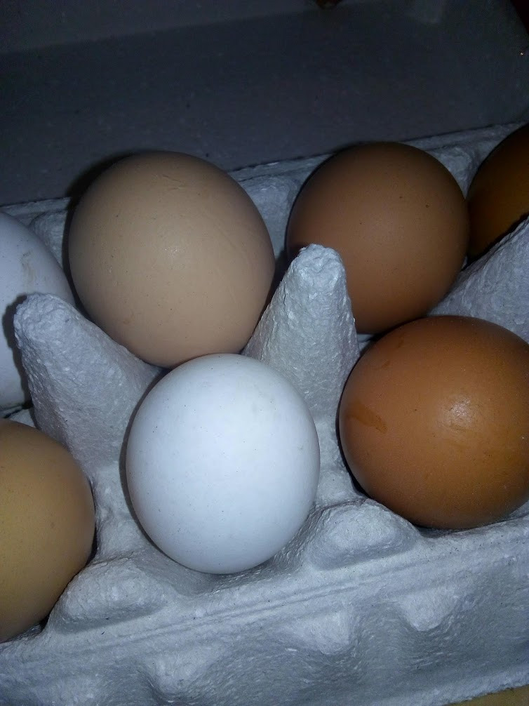 IMG 20200113 205050.jpg