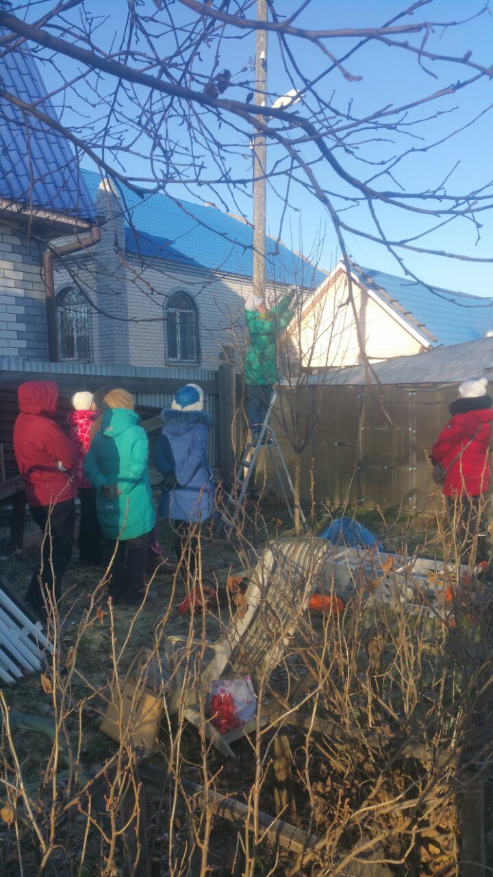 мастер класс обрезка в саду