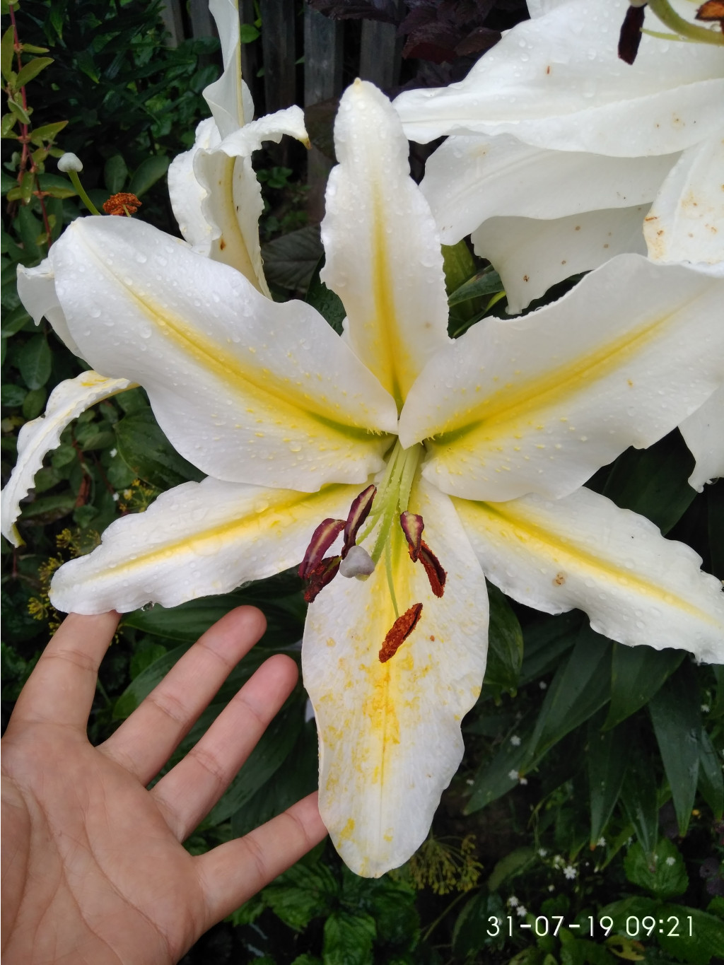 IMG 20190731 092143.jpg