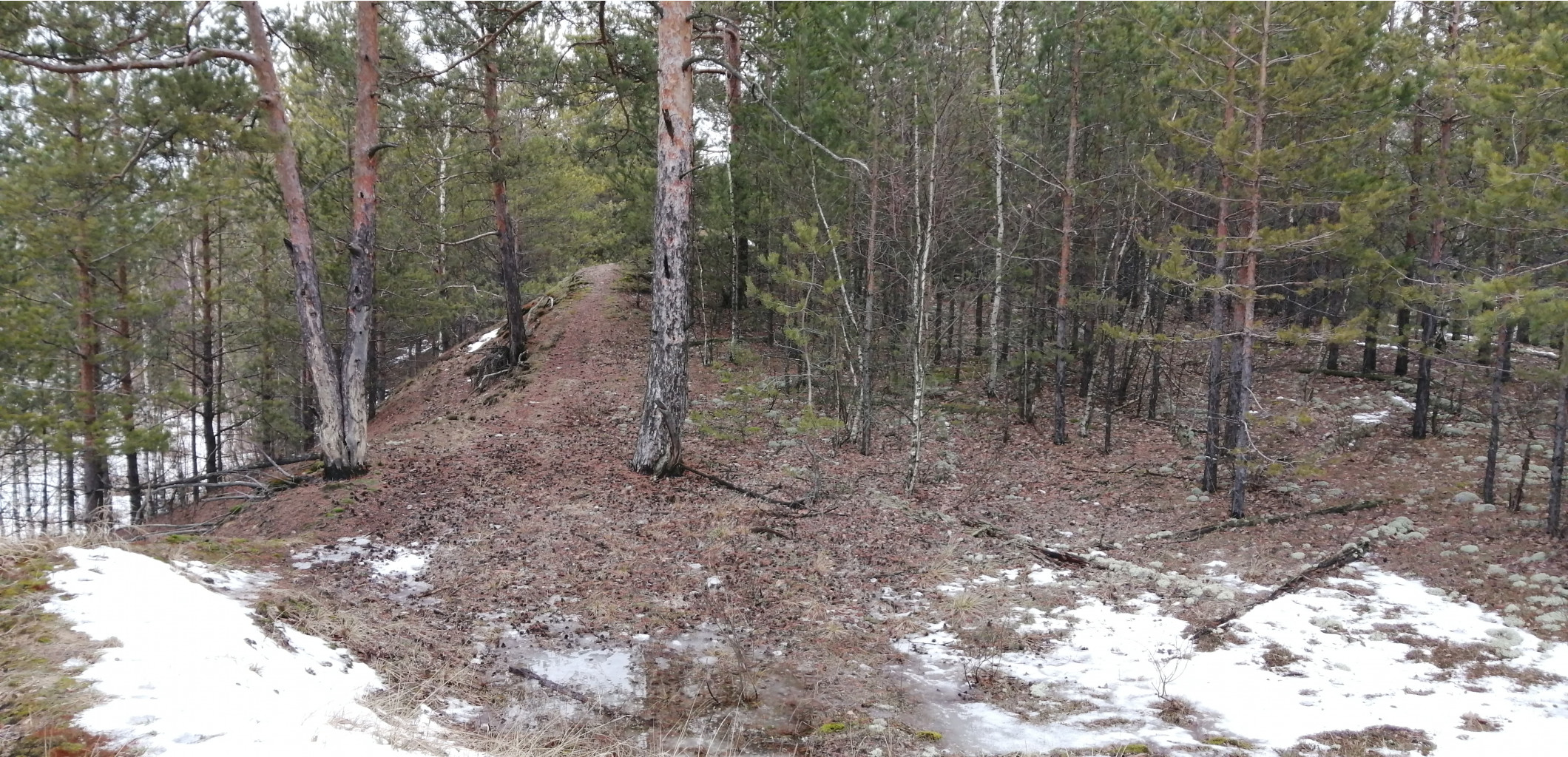 IMG 20200118 135015.jpg