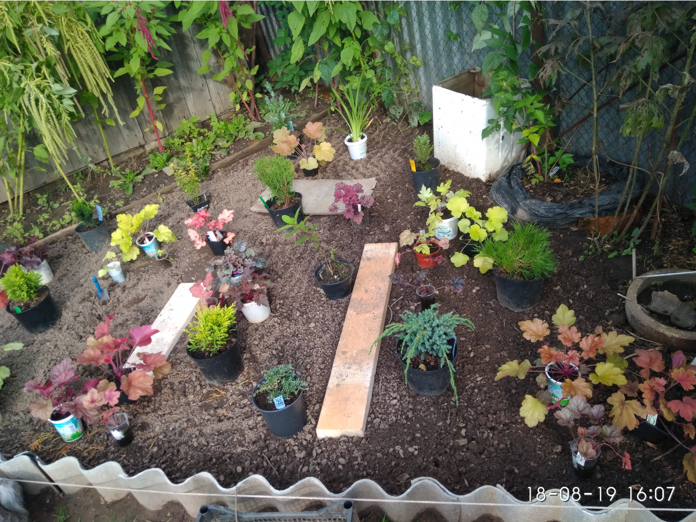 IMG 20190818 160738[1].jpg