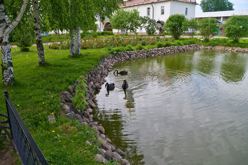 https://img.nn2.ru/galleryview/0/userfiles/data/ufiles/2020-01/b8/19/00/5e0c988704aab_k715493.jpg