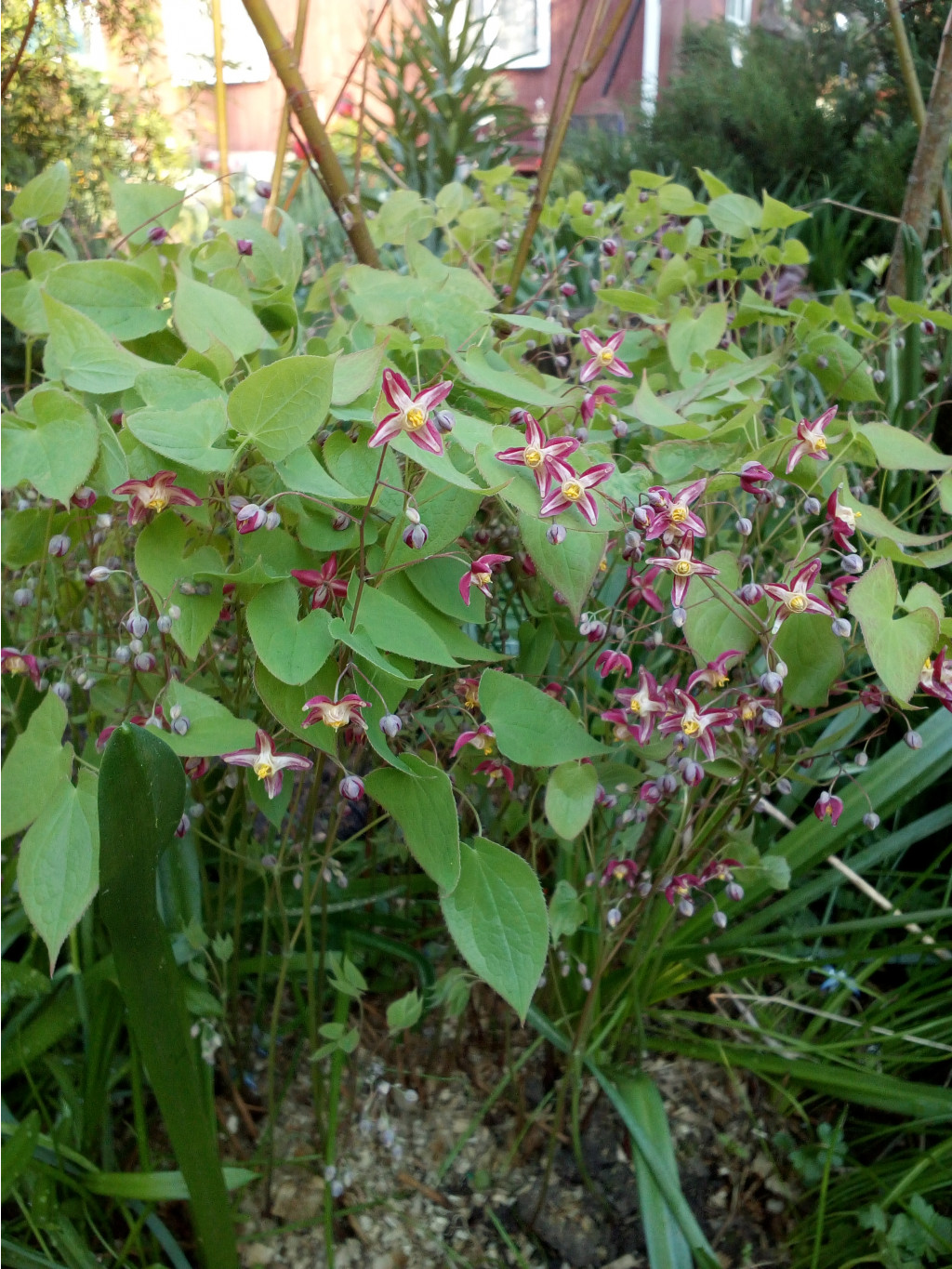 IMG 20190514 055604.jpg