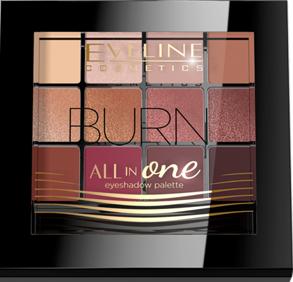 03 - BURN -      All In One