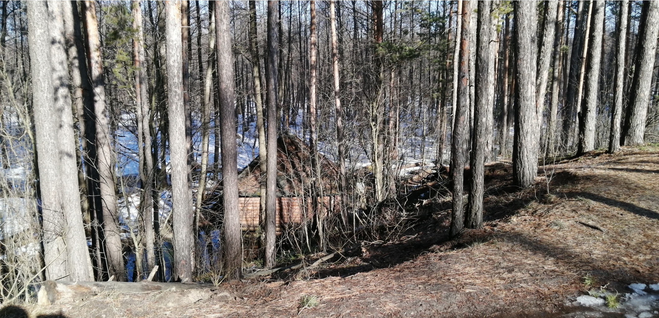 IMG 20200222 122037.jpg