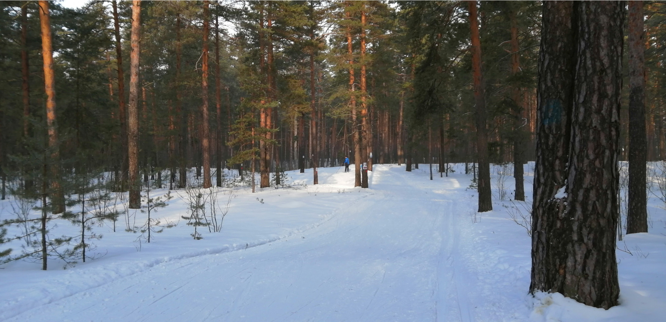 IMG 20200216 104949.jpg