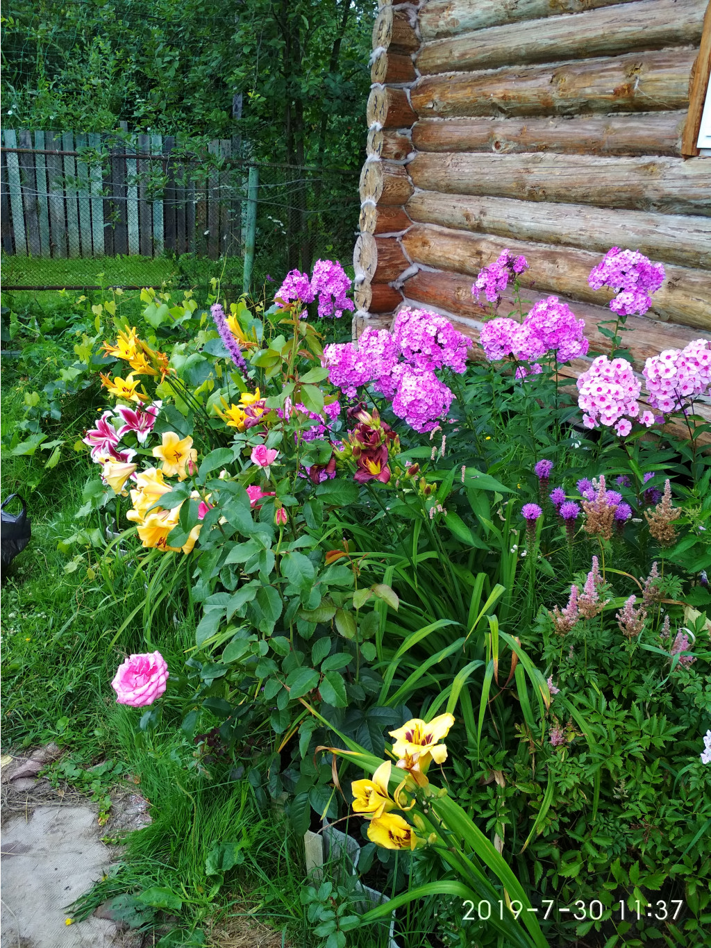 IMG 20190730 113751.jpg