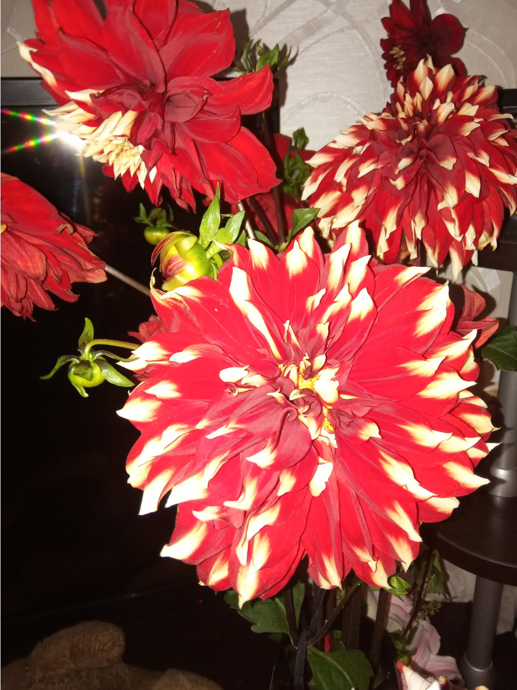 IMG 20190916 083003.jpg