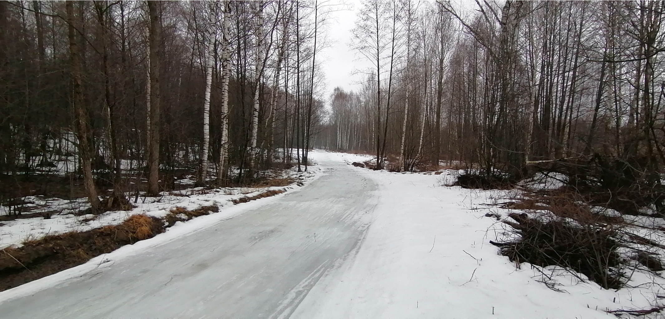 IMG 20200308 104917.jpg