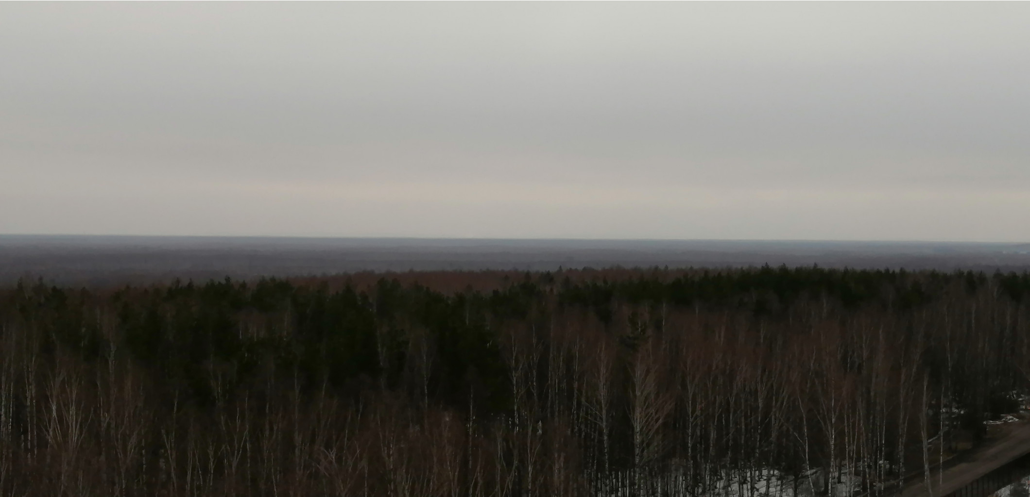 IMG 20200307 121920.jpg