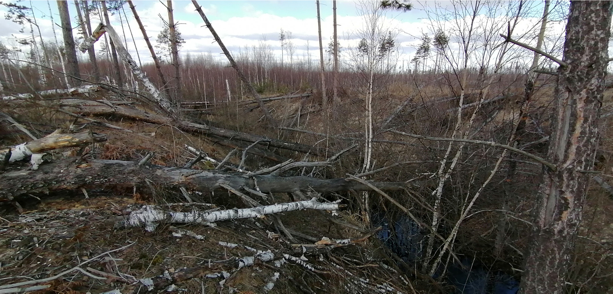 IMG 20200322 102634.jpg
