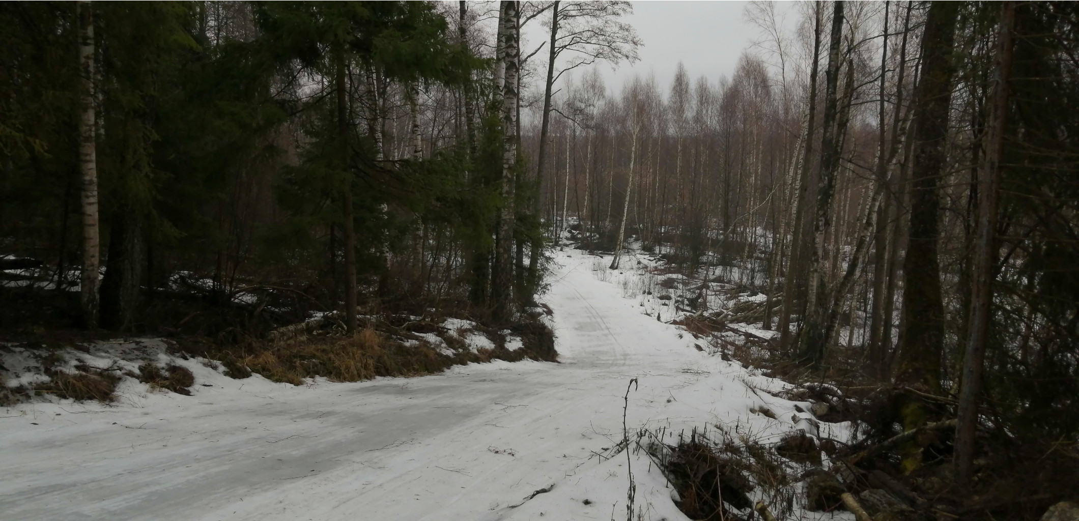 IMG 20200308 104459.jpg