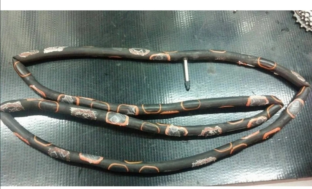 Screenshot 20200421 102031.jpg