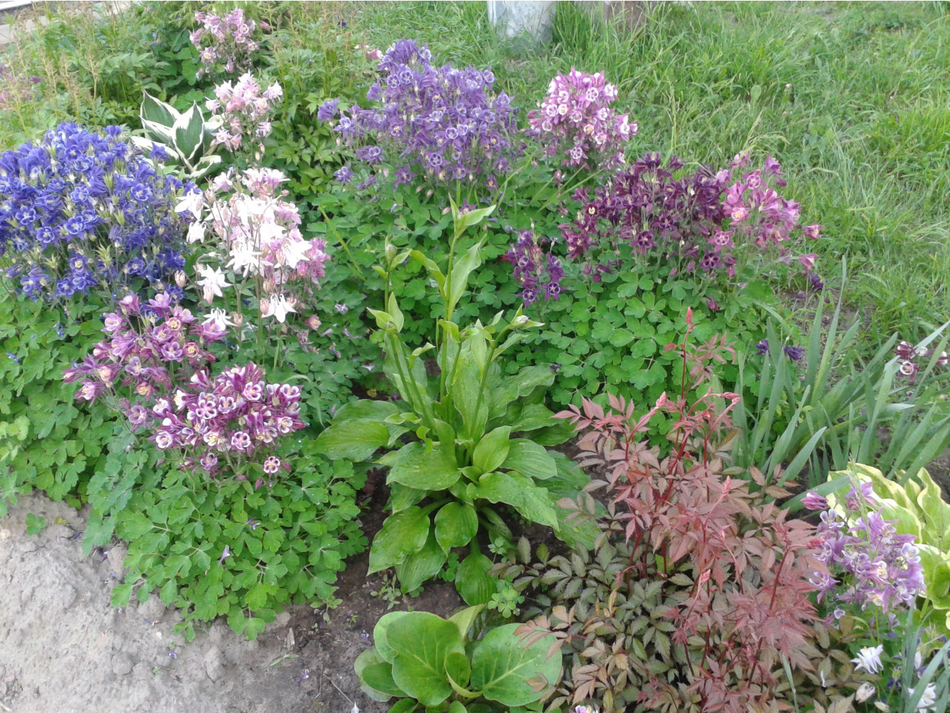 20130604 193440.jpg