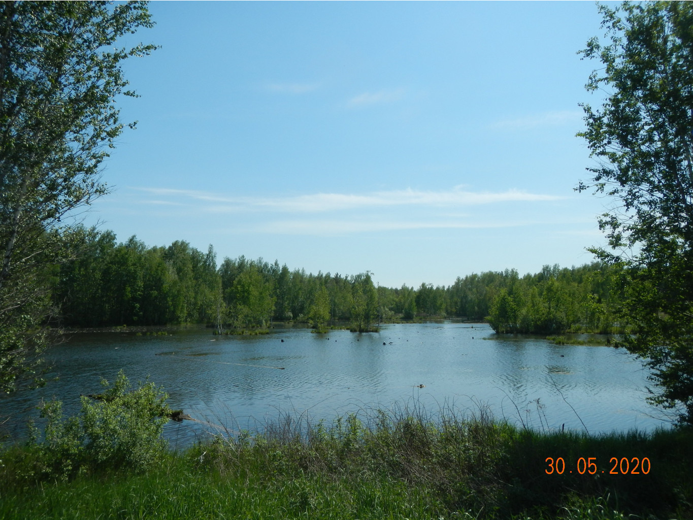 DSCN3701.JPG