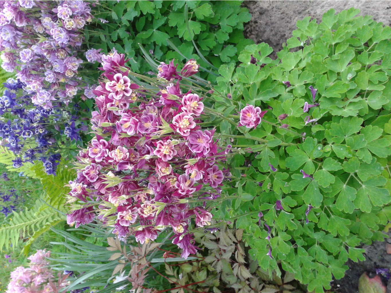 20130604 193353.jpg