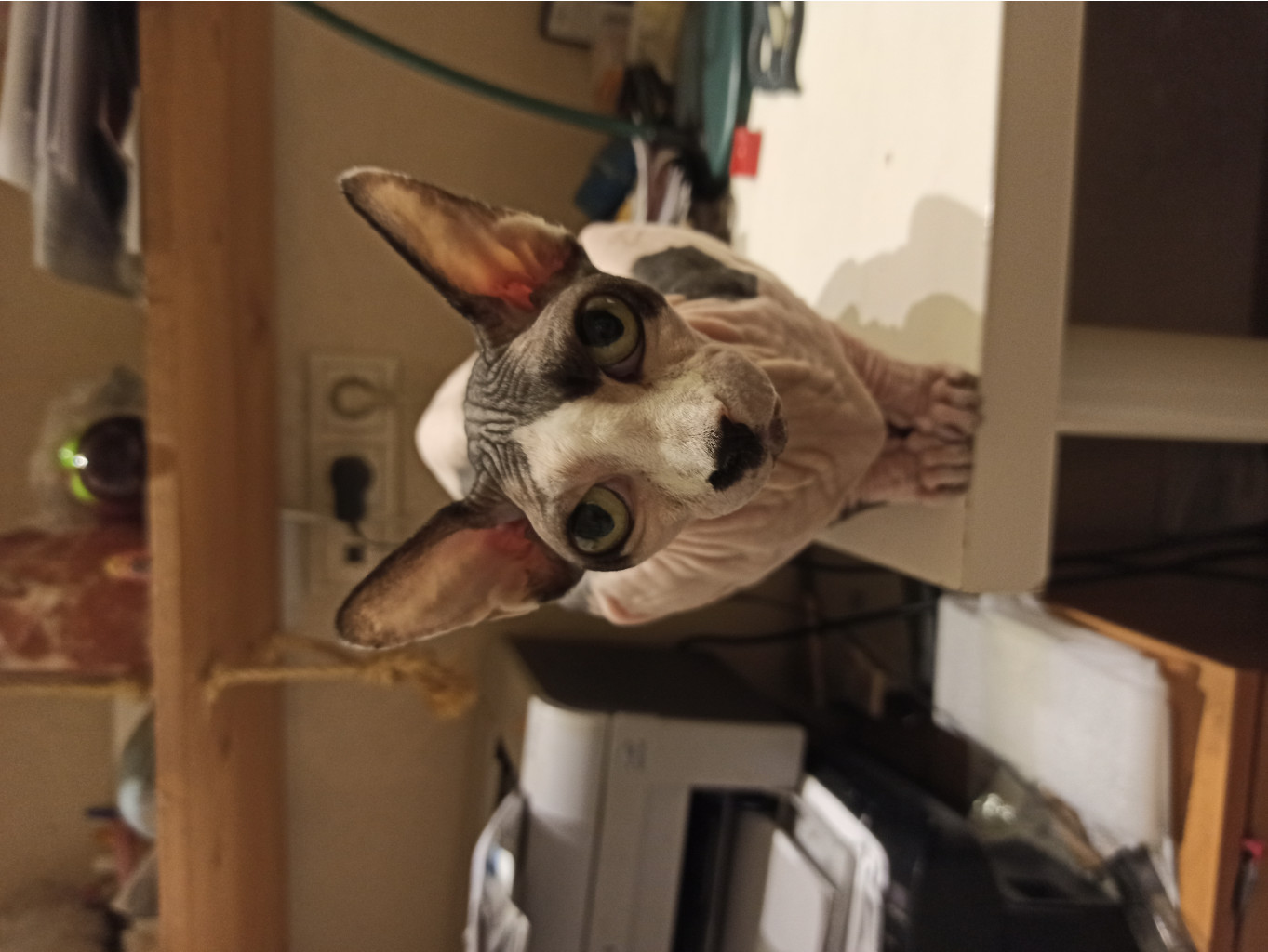 IMG 20200228 191846.jpg