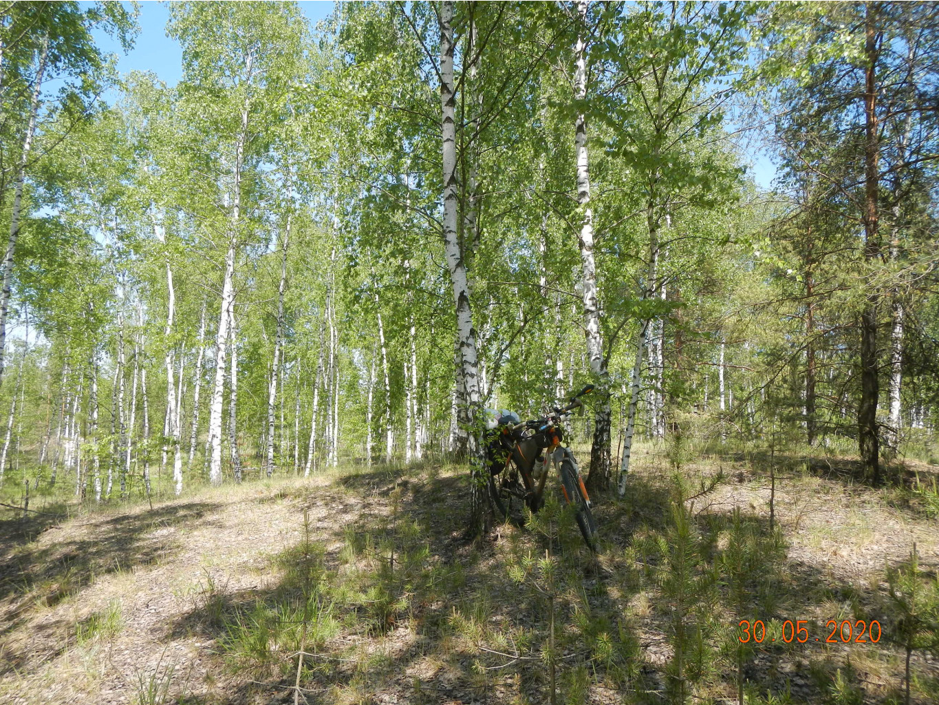 DSCN3680.JPG