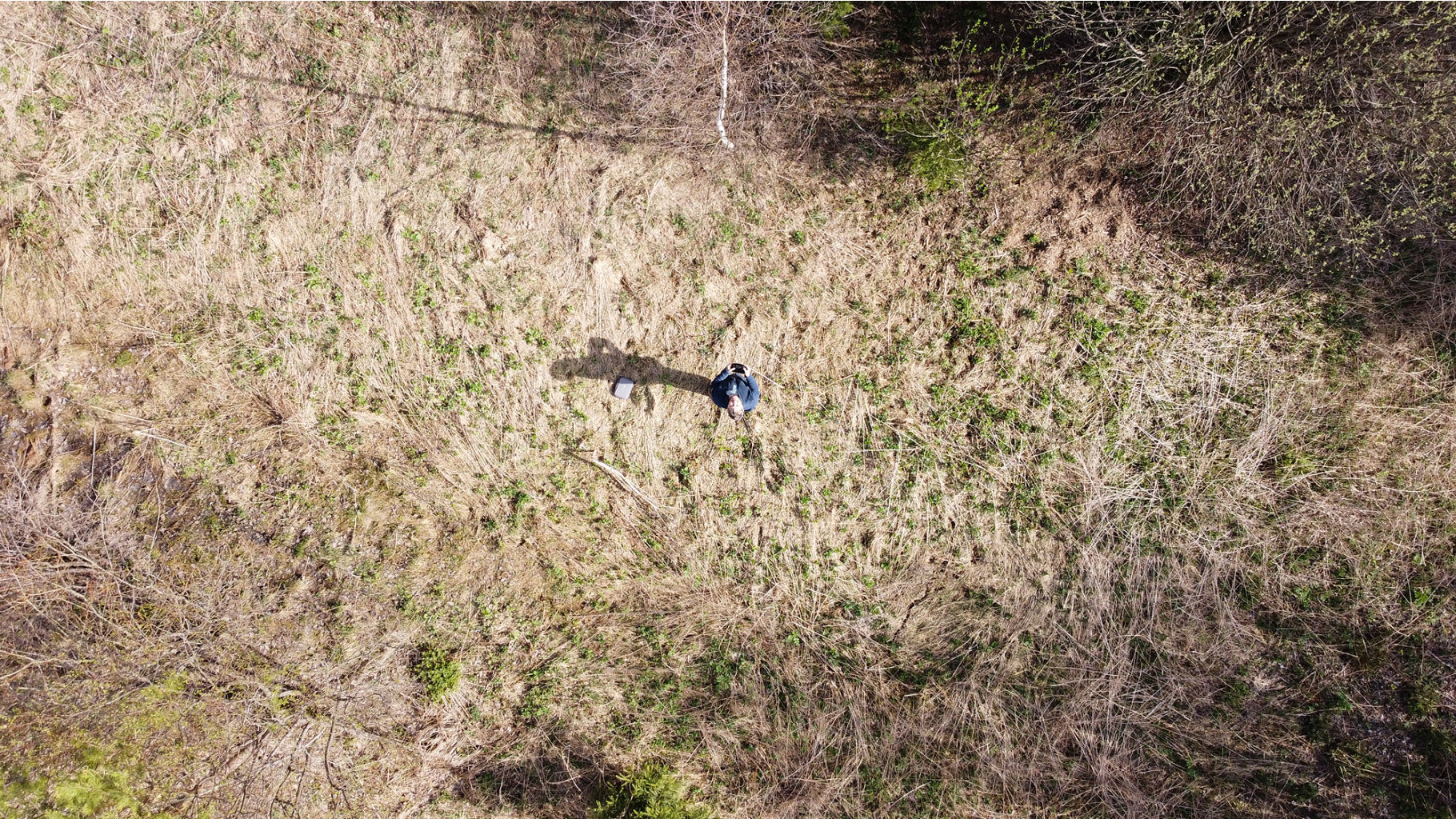 DJI 0251.jpg