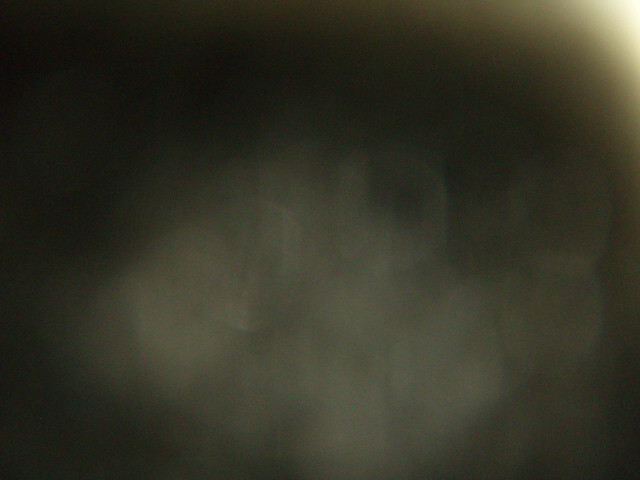 P1010096.JPG