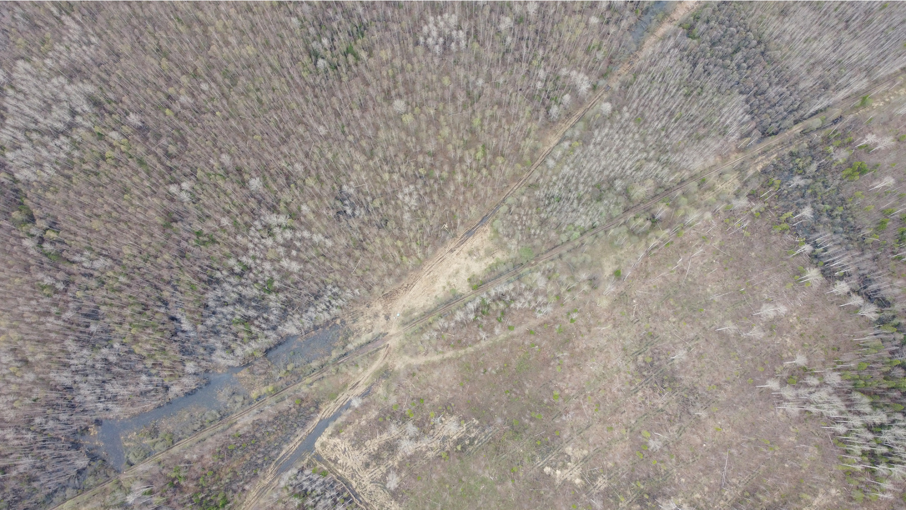 DJI 0317.jpg