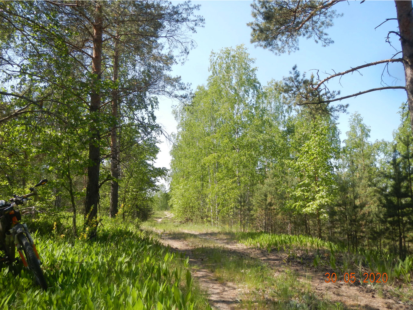 DSCN3676.JPG