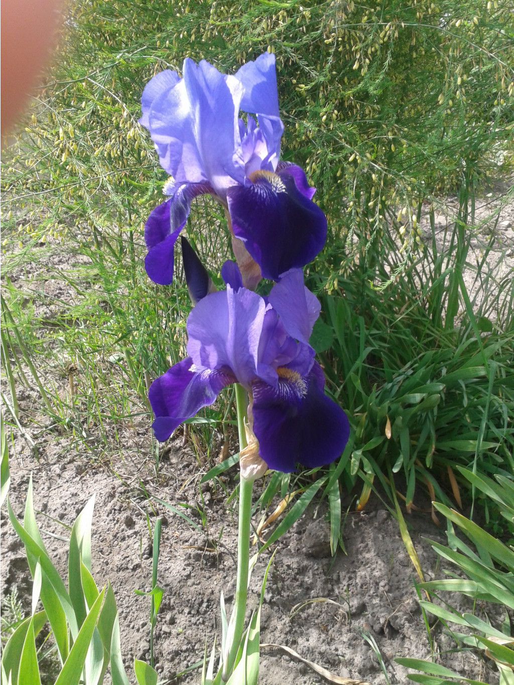 20190603 095646.jpg