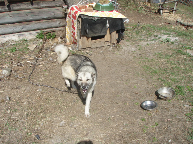 P1010081.JPG