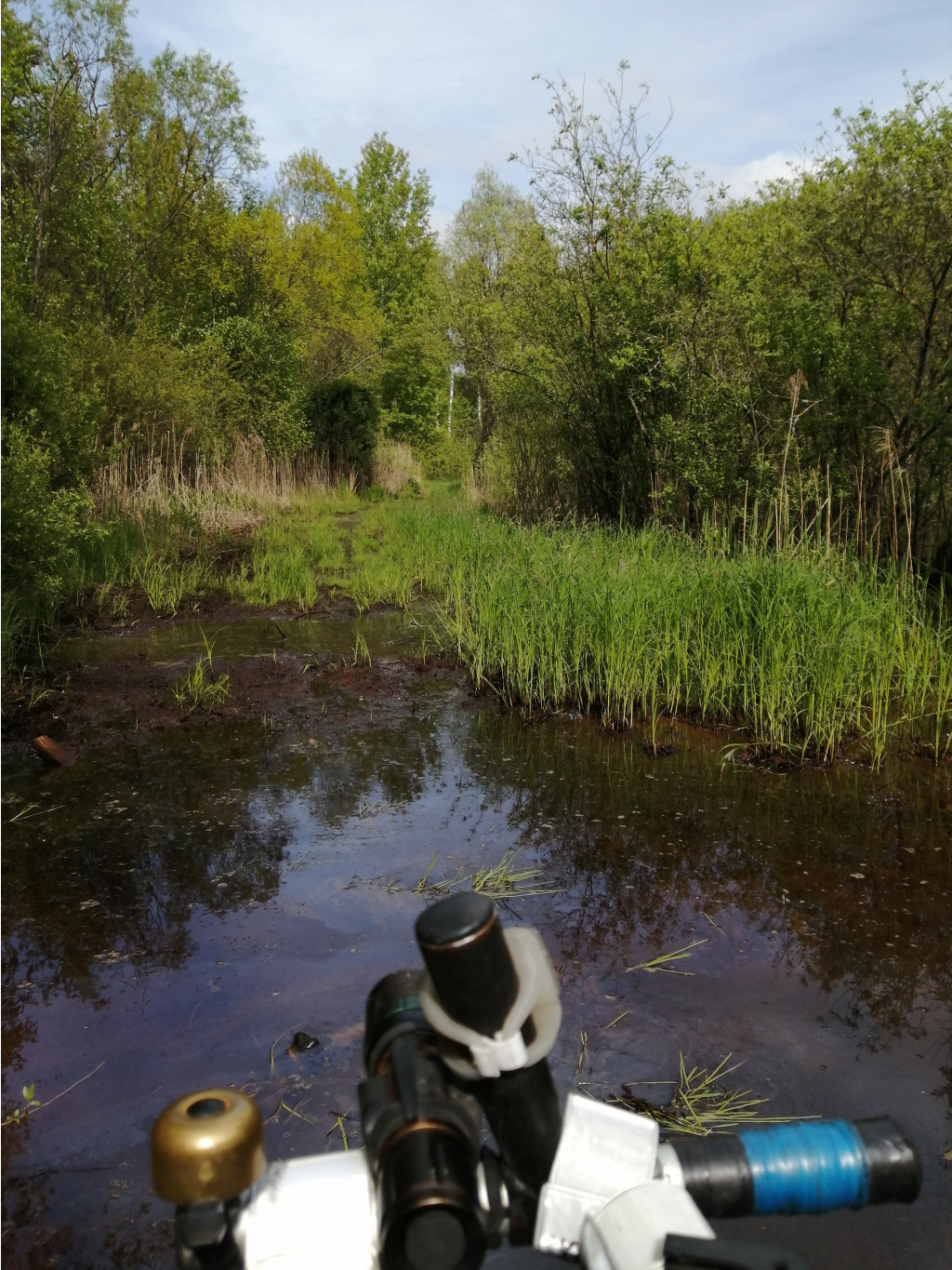 IMG 20200523 140347.jpg