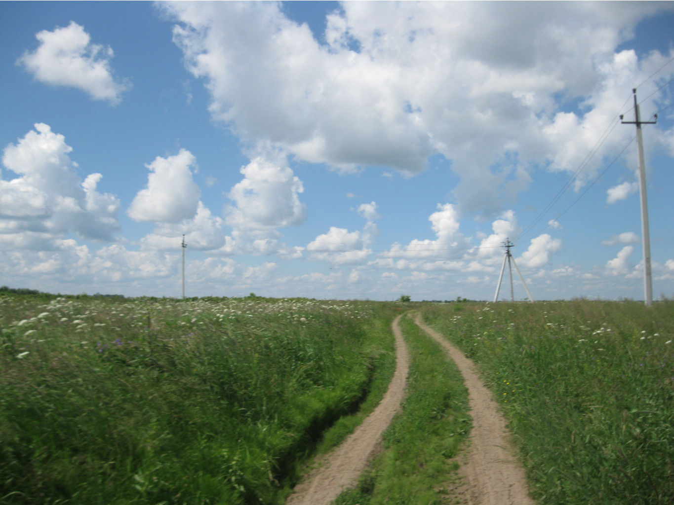 IMG 5307.JPG