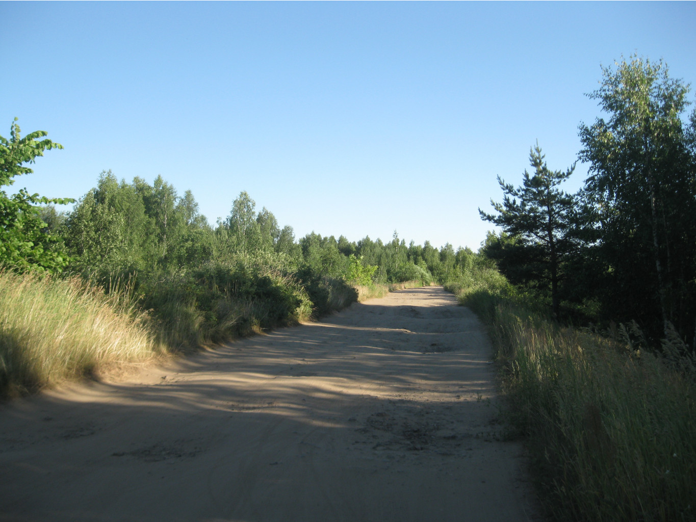 IMG 5484.JPG