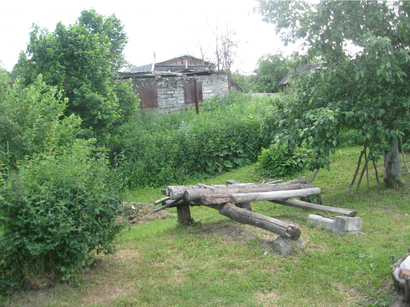 IMG 5343.JPG