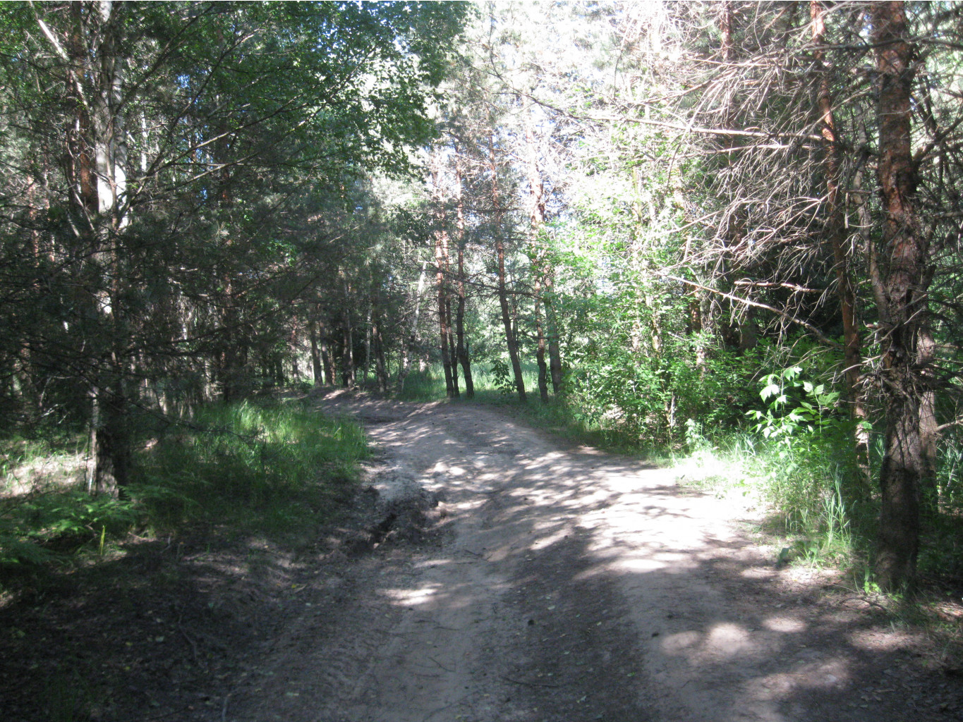 IMG 5416.JPG