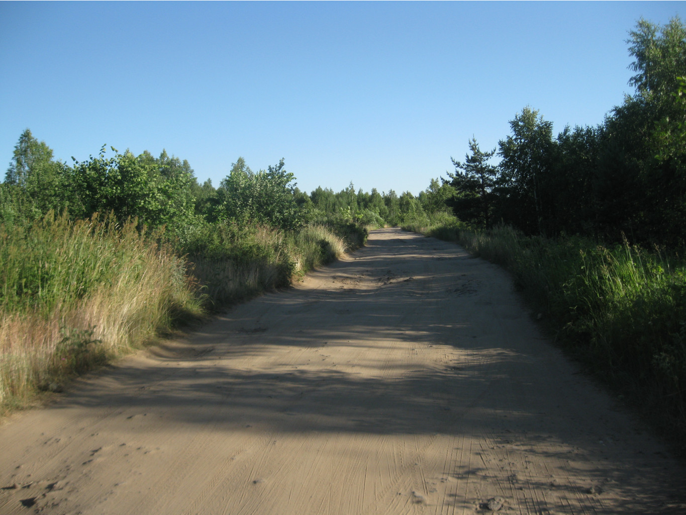 IMG 5483.JPG