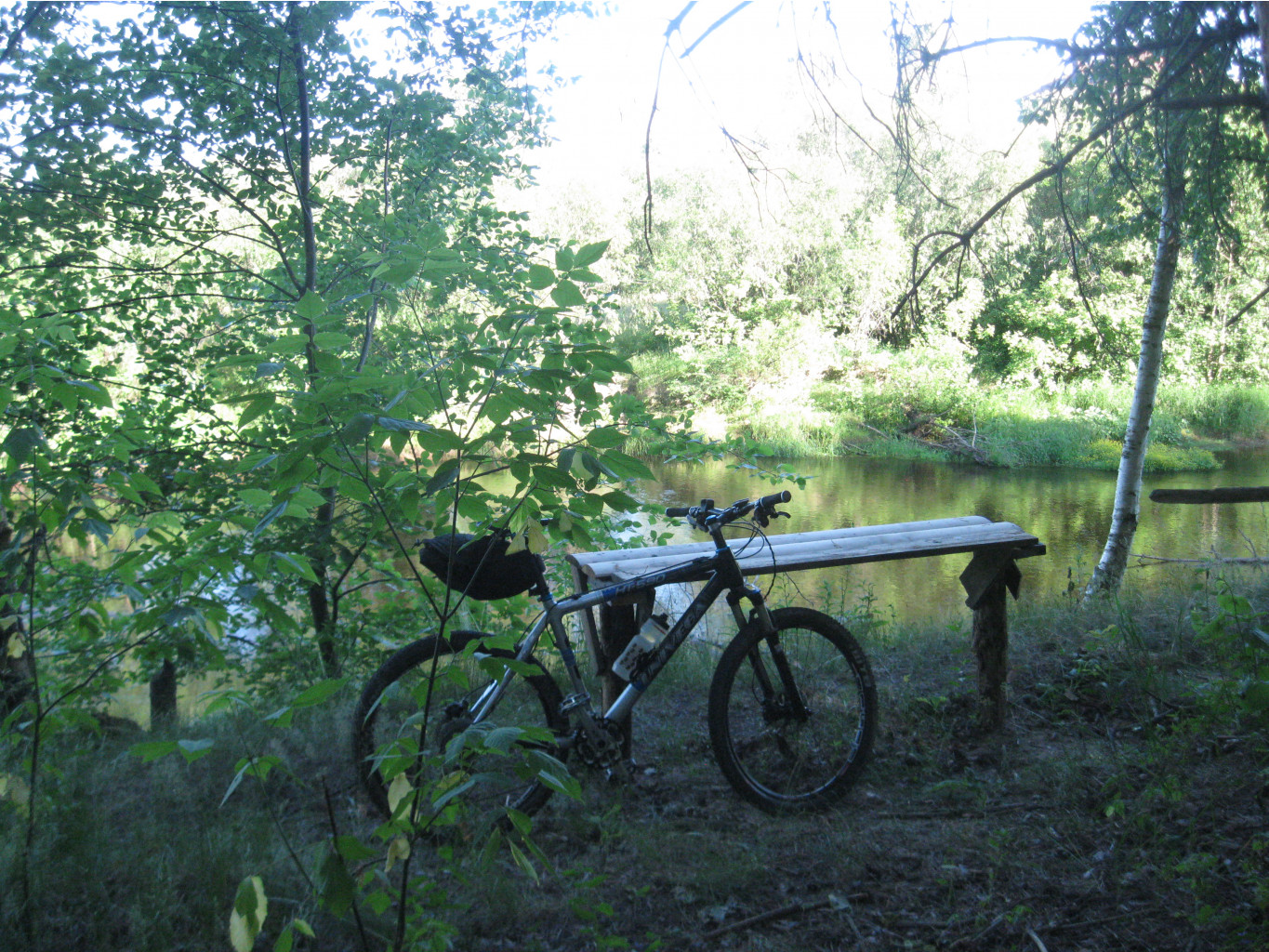 IMG 5479.JPG