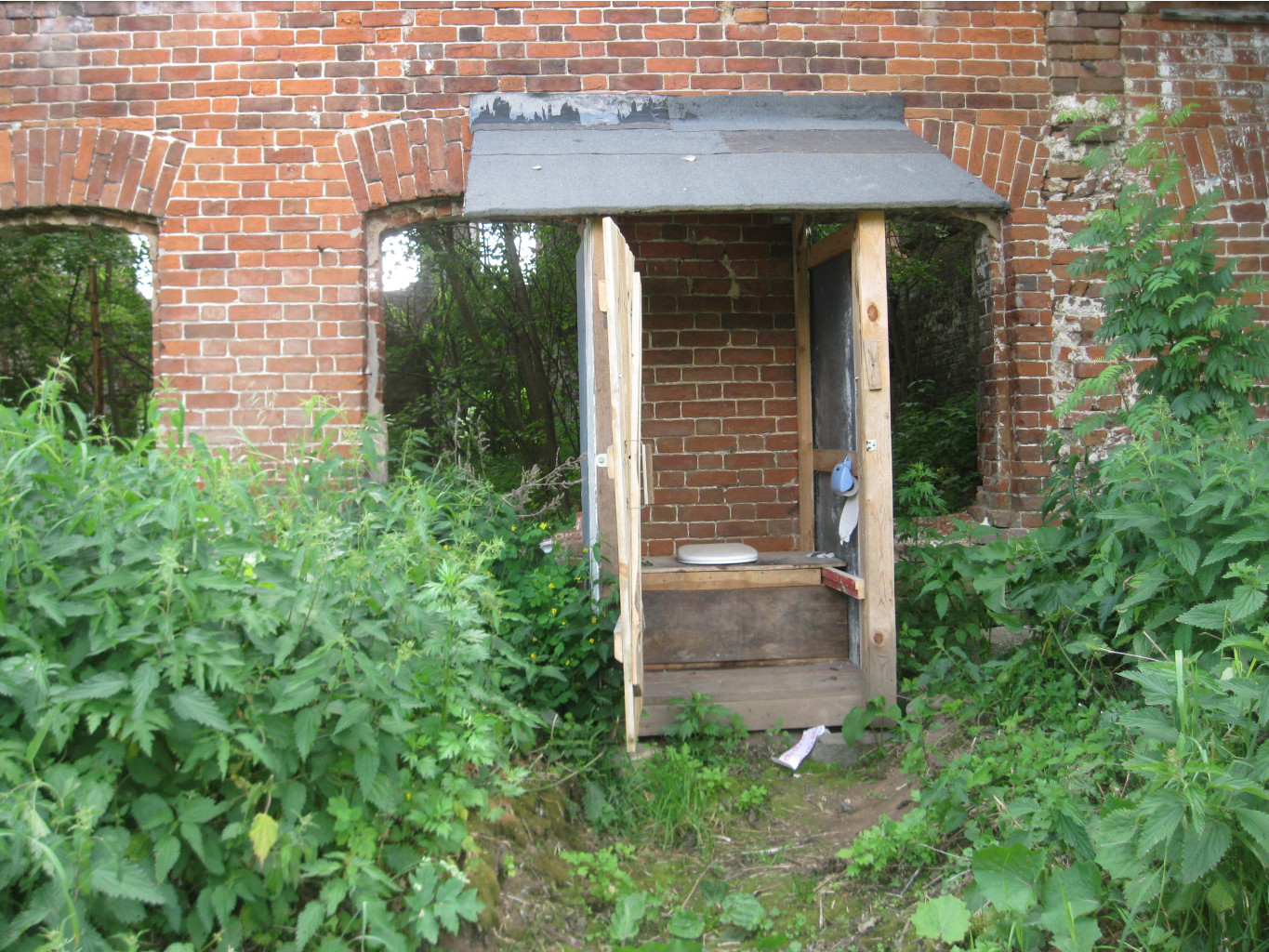 IMG 5361.JPG
