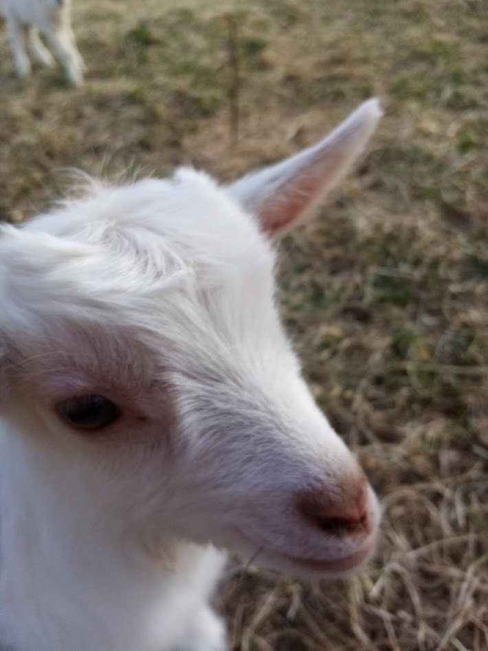 IMG 20200505 181418.jpg