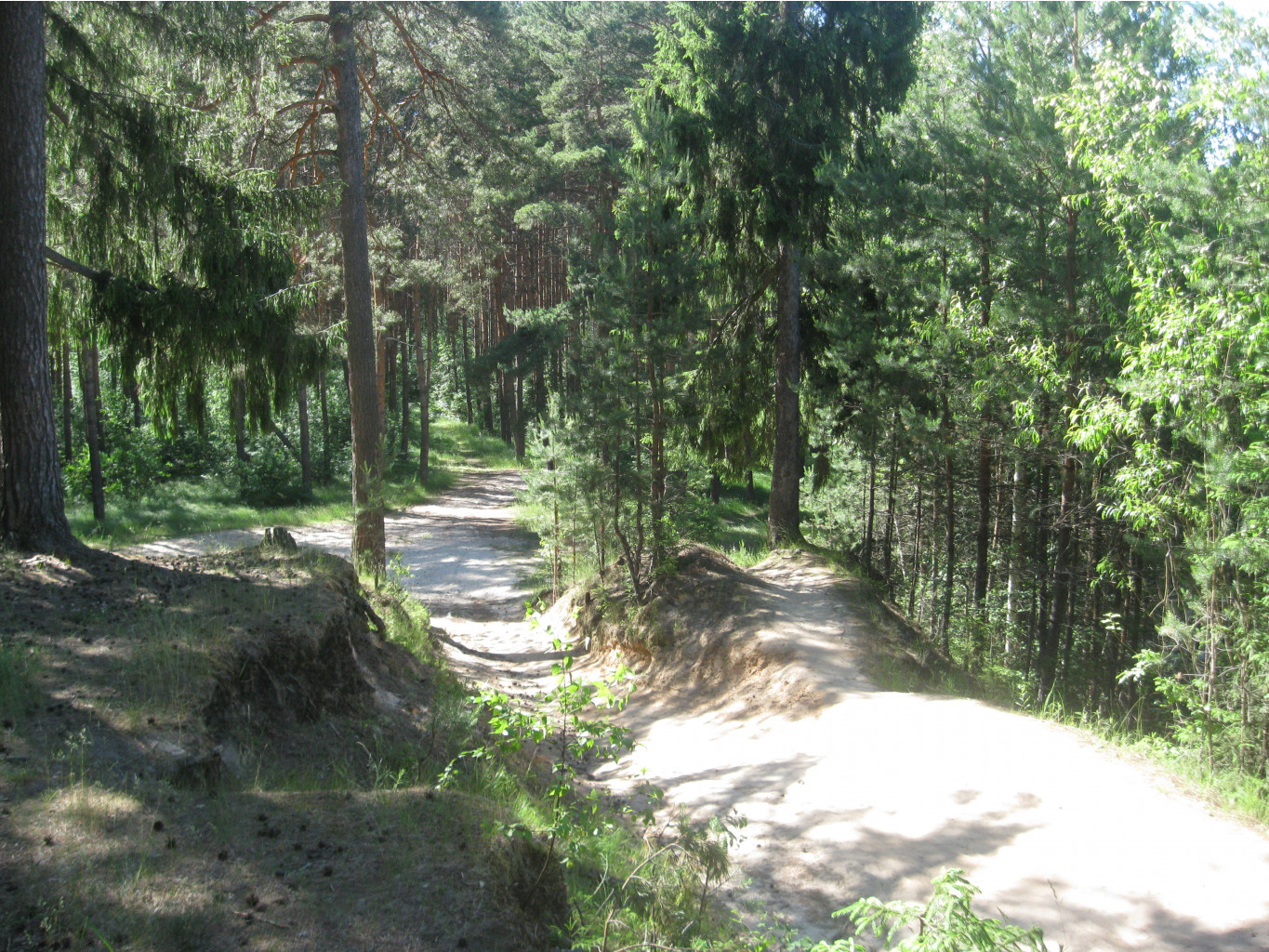 IMG 5426.JPG